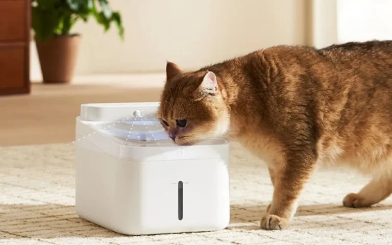 新たなペット向け水 dispenser で快適な水分補給を！